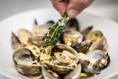 Linguine with clams and a sprig of herbs held over the bowl