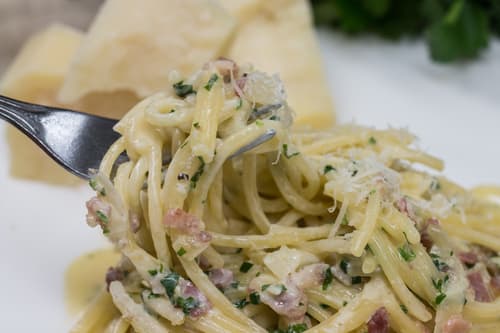 Spaghetti twirled on a fork with grated cheese